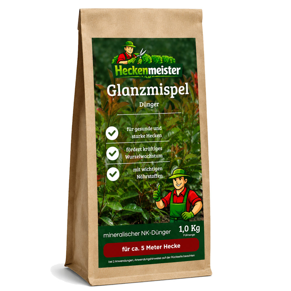 Glanzmispel Dünger