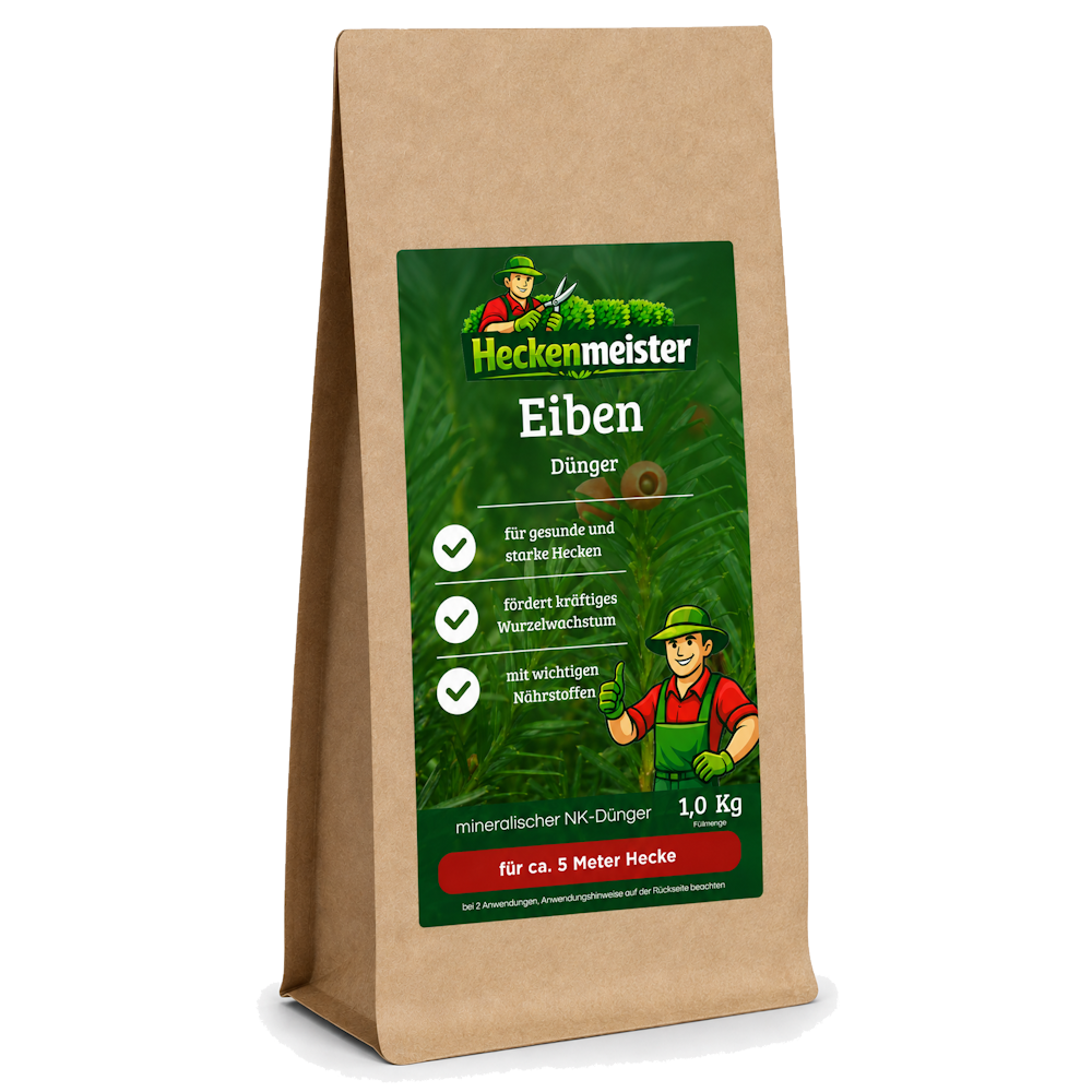 Eiben Taxus Dünger