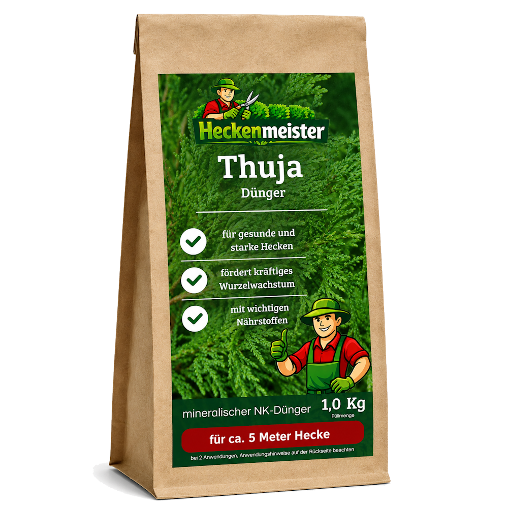 Thuja Lebensbaum Dünger