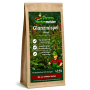 Glanzmispel Dünger 1 Kg Beutel
