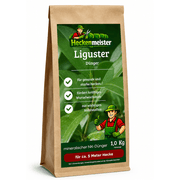 Liguster Dünger 1 Kg Beutel